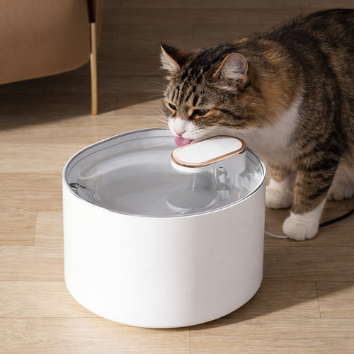 Fontanna z filtrem dla pupili